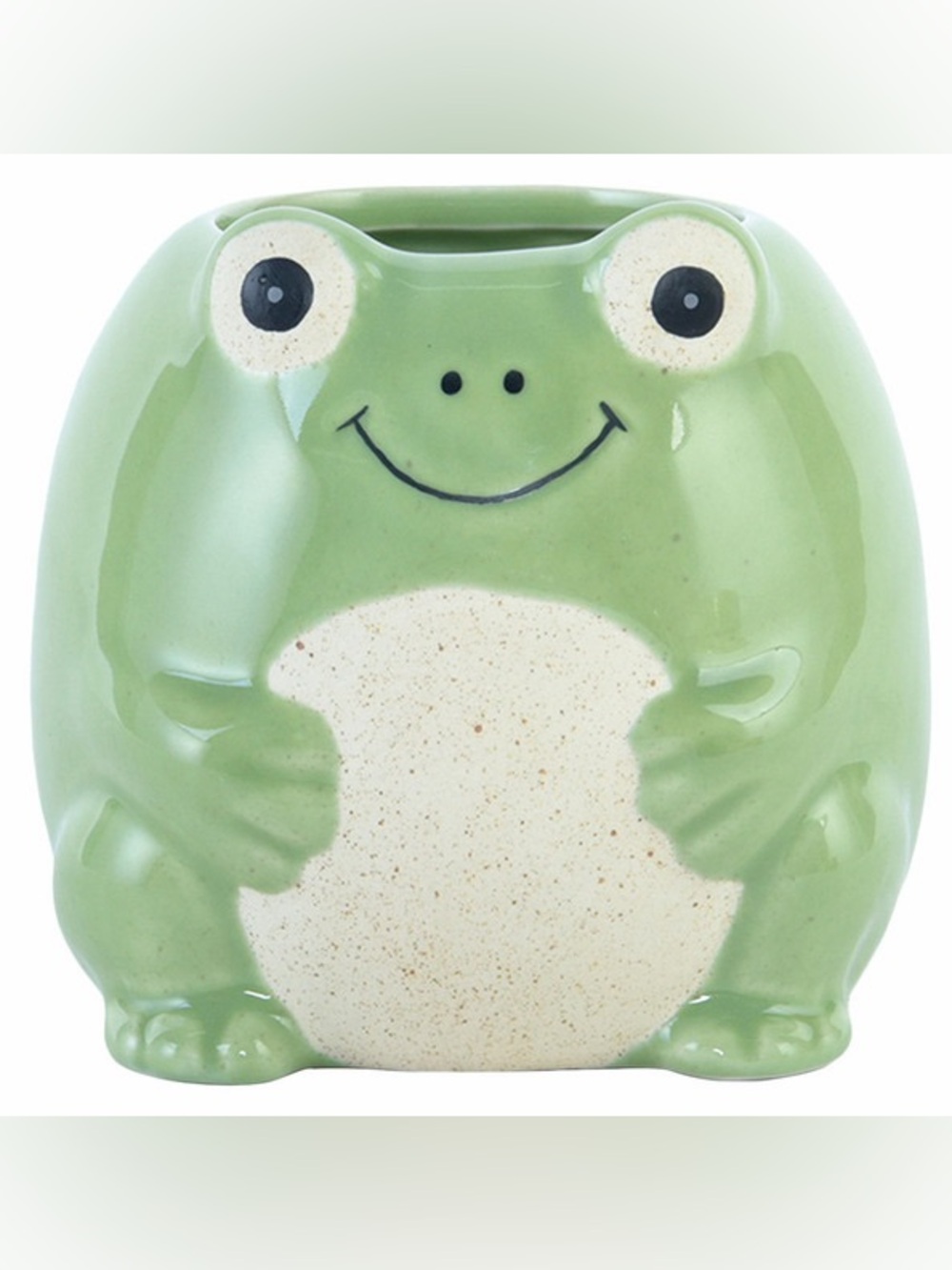 ALDI Ceramic Frog Planter